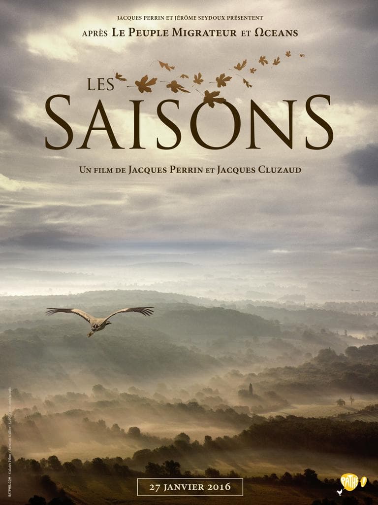 Affiche du film Les Saisons