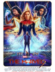 {{brizy_dc_image_alt entityId=