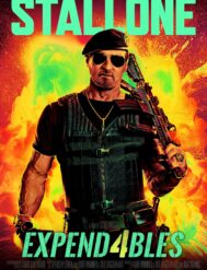 {{brizy_dc_image_alt entityId=